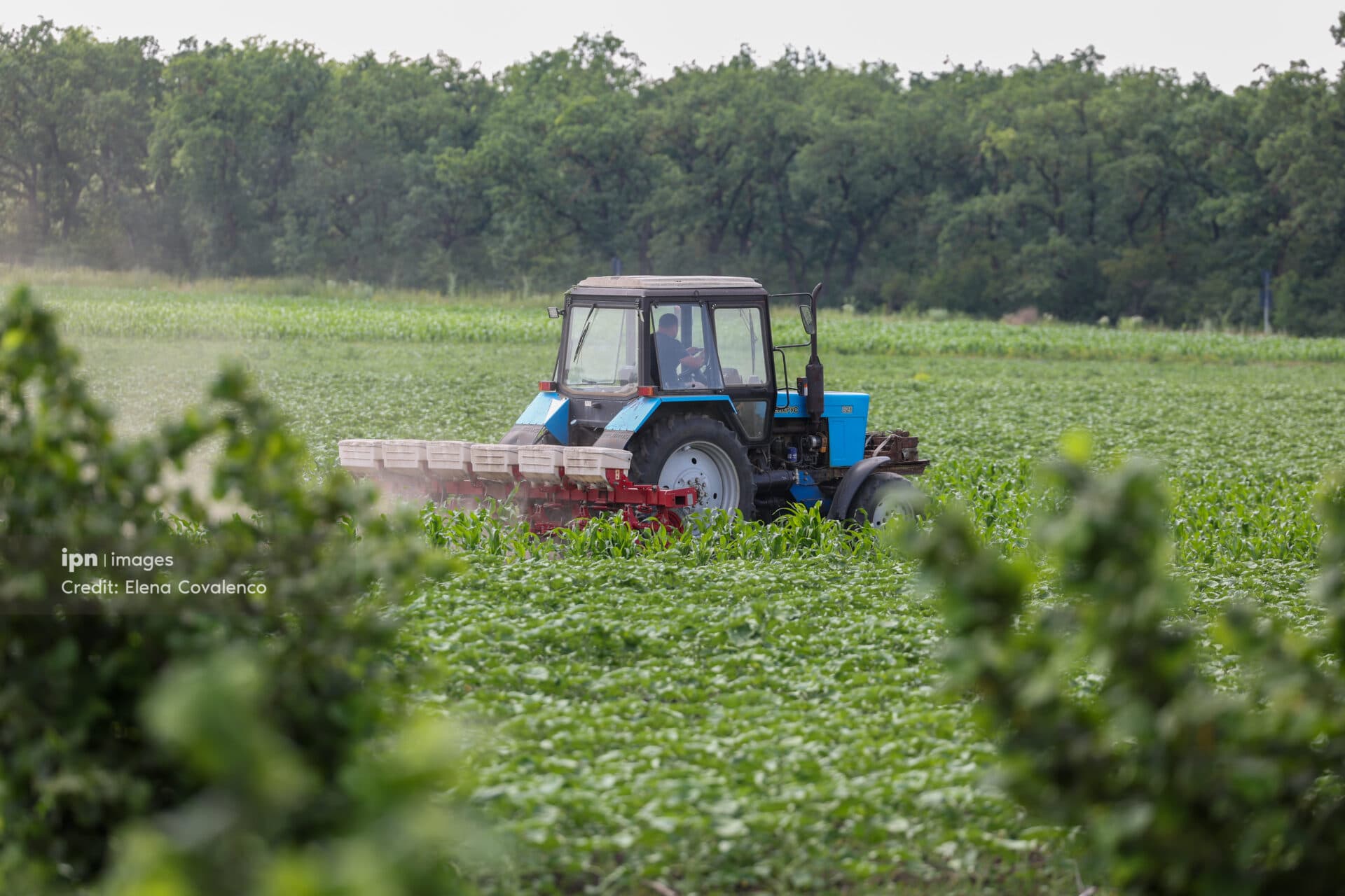 O lege veche de 30 de ani, acum în versiune nouă: norme de utilizare și protecție a solurilor