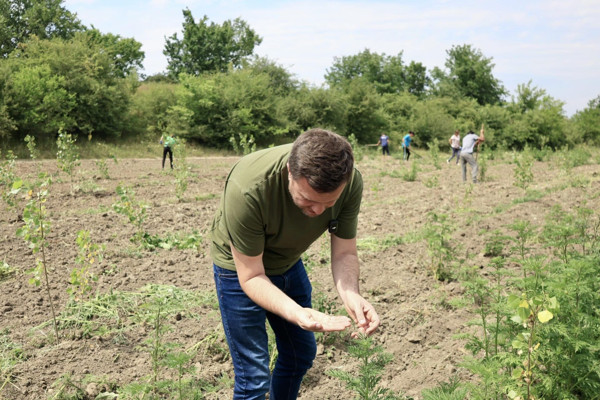 Două păduri noi, plantate pe malul Nistrului