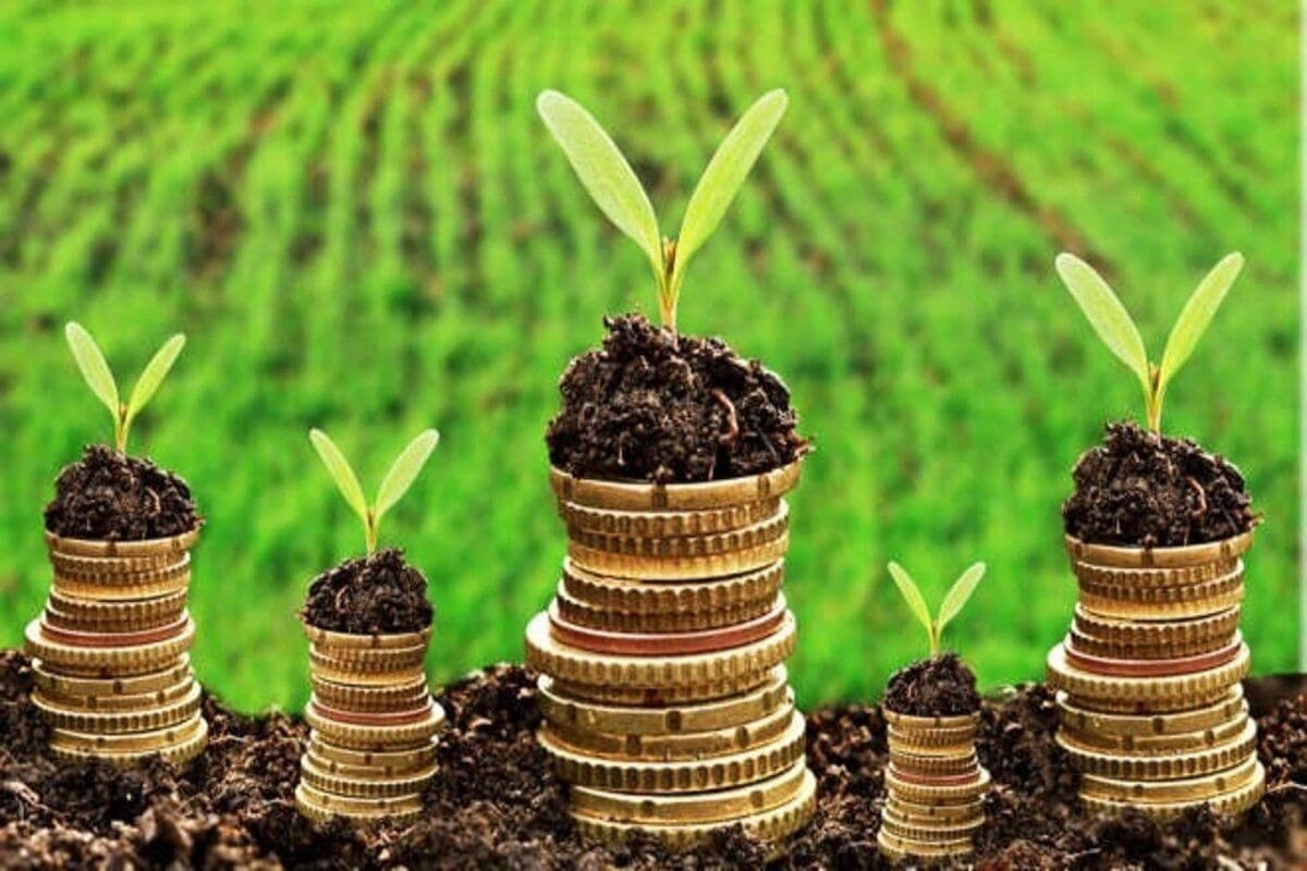 Granturi UE pentru întreprinderi agricole din sate