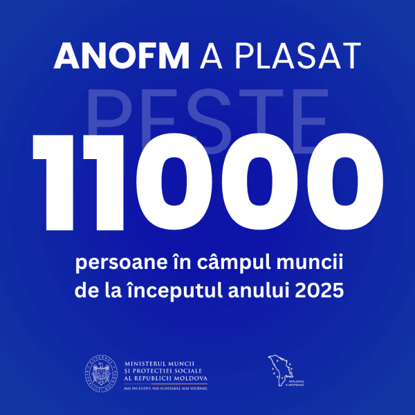 Un nou record! Peste 11 mii de persoane, angajate în câmpul muncii de la începutul anului