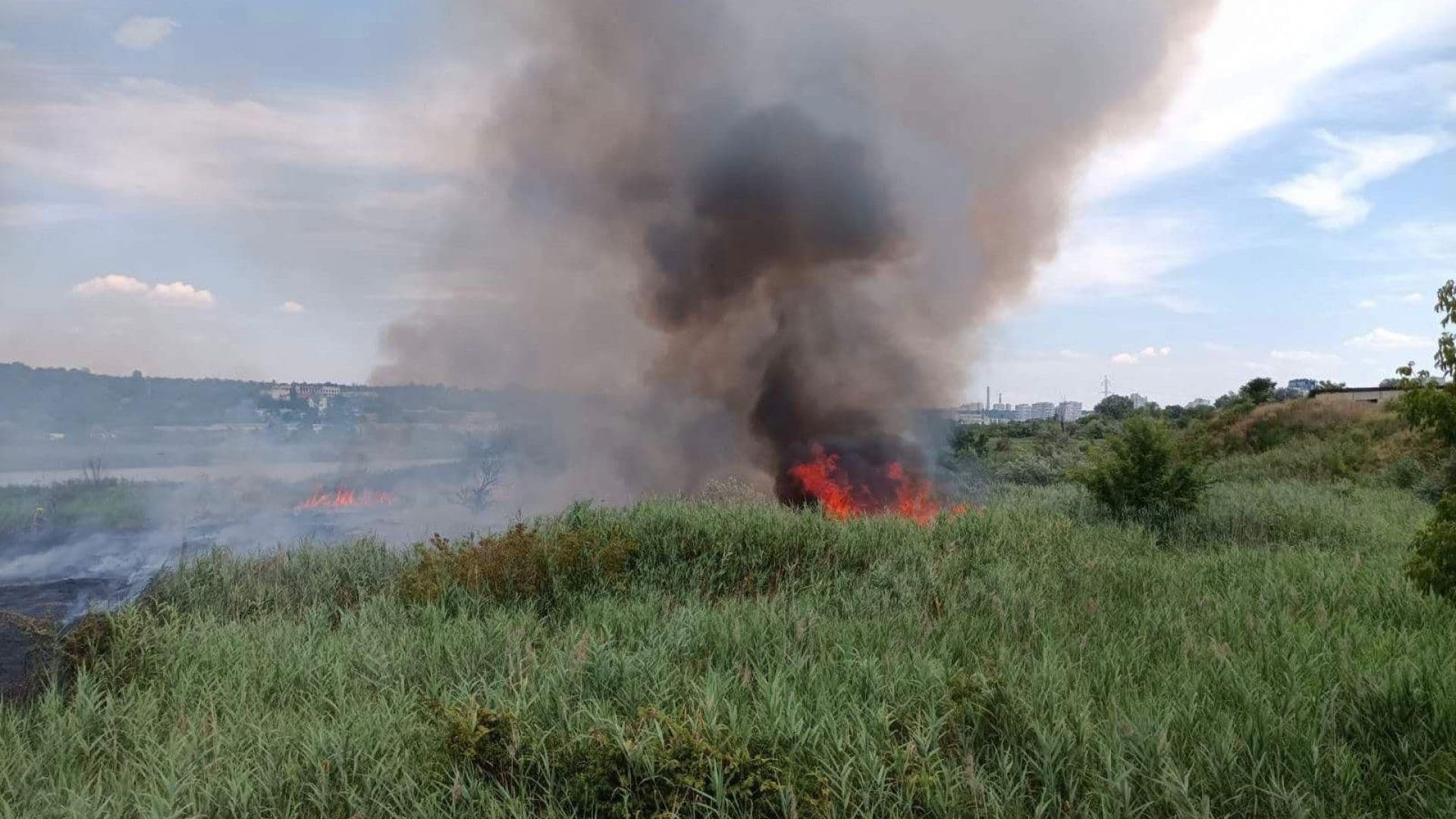 FOTO // Incendiu de vegetație în sectorul Buiucani. Flăcările s-au extins și la un transformator electric