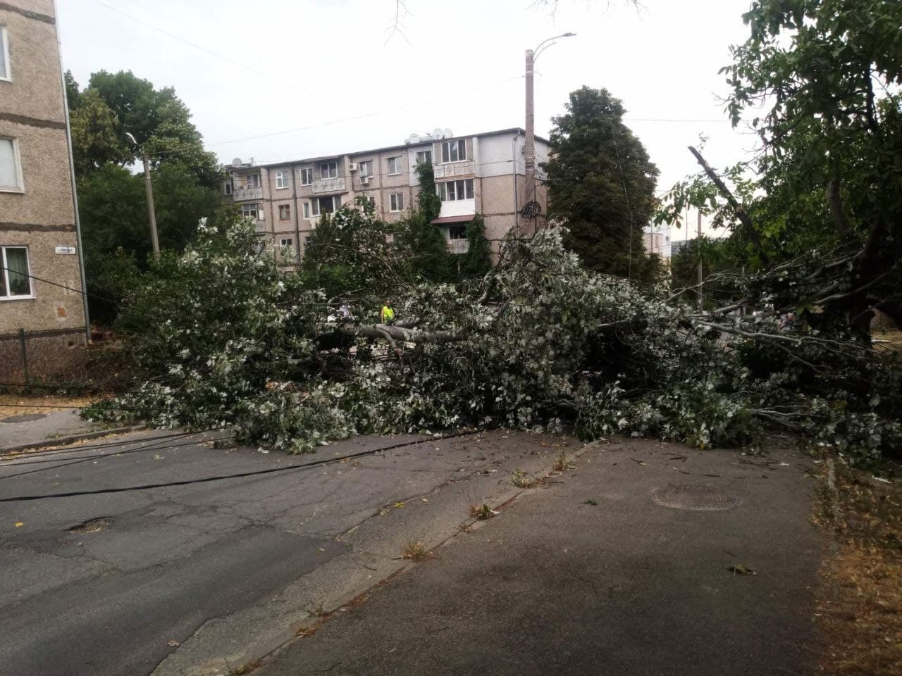 Alertă de securitate pentru populație! Crengi și arbori rupți pe unele străzi din capitală