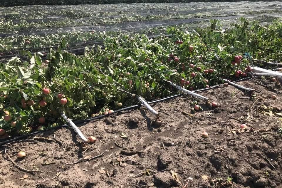 Impactul furtunii: zeci de hectare agricole distruse, drumuri spălate și sate rămase în beznă