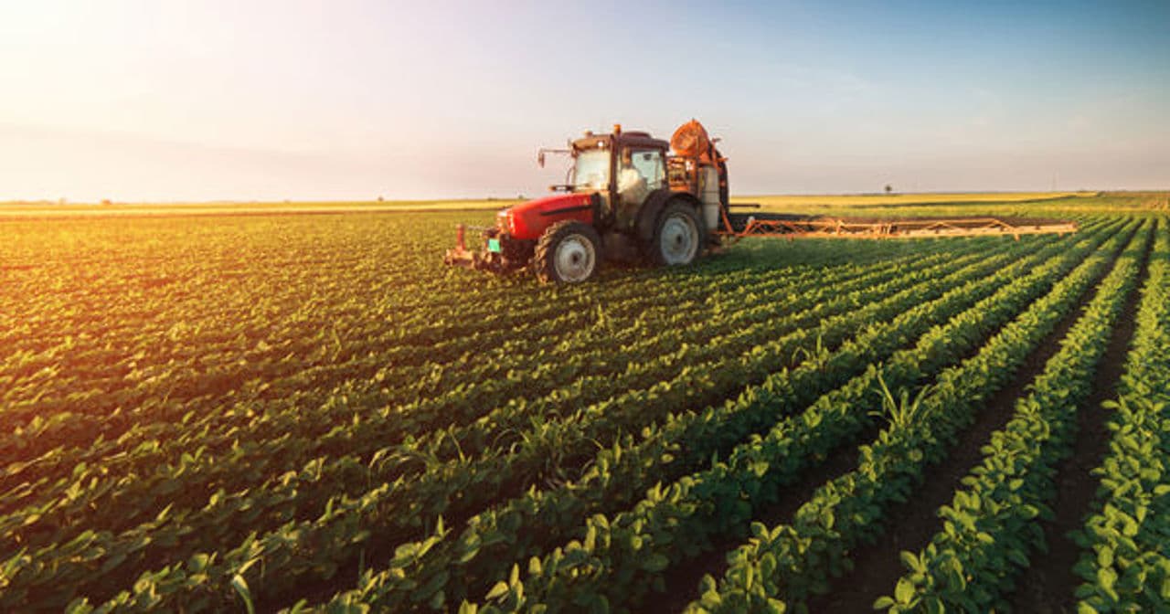 Subvenții de peste 96 mln lei, autorizate în iulie pentru agricultori și mediul rural