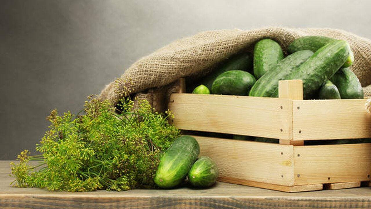 Vești bune pentru agricultori! R. Moldova poate exporta în Israel castraveți și bulbi de ceapă