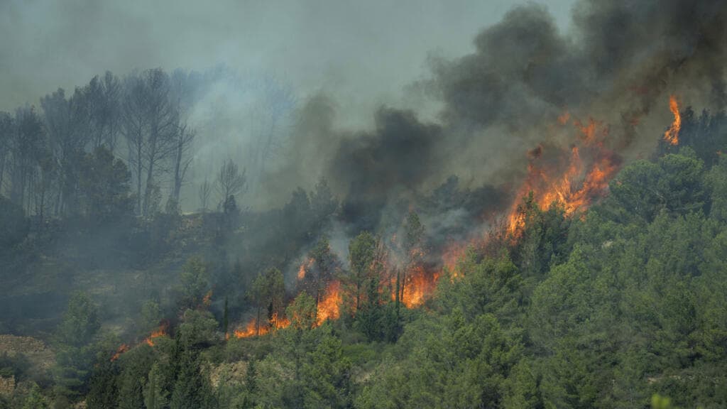 Alertă de călătorie în sudul Franței! Cel mai mare incendiu de vegetație din această vară