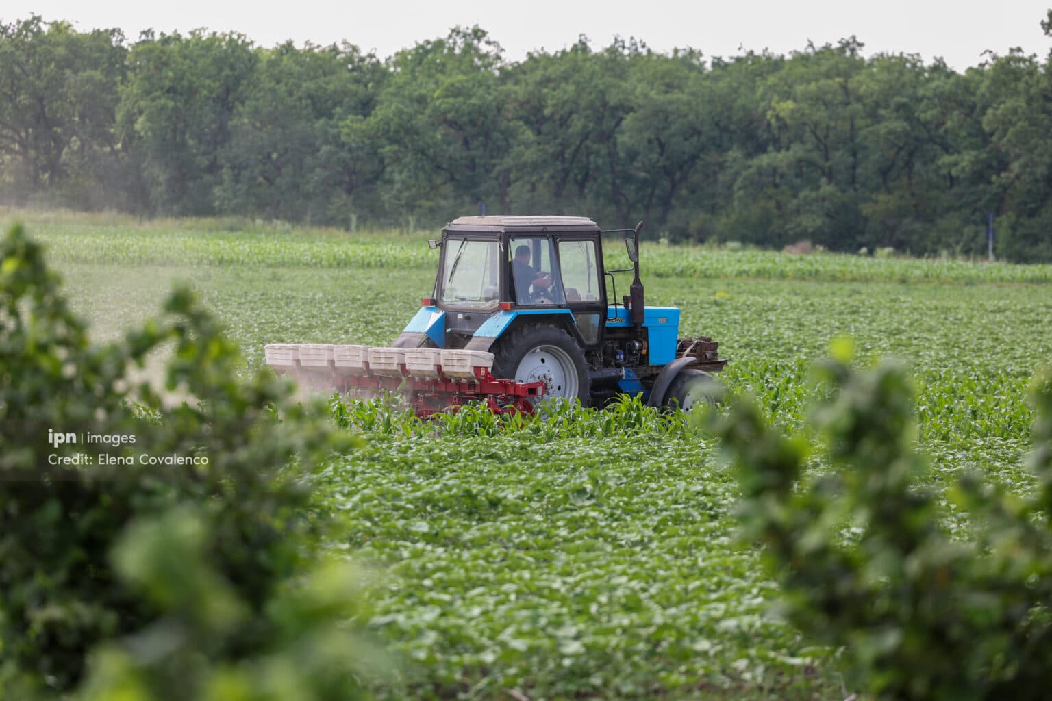 Micro-întreprinderile agricole pot obține finanțări de până la 150 mii de euro