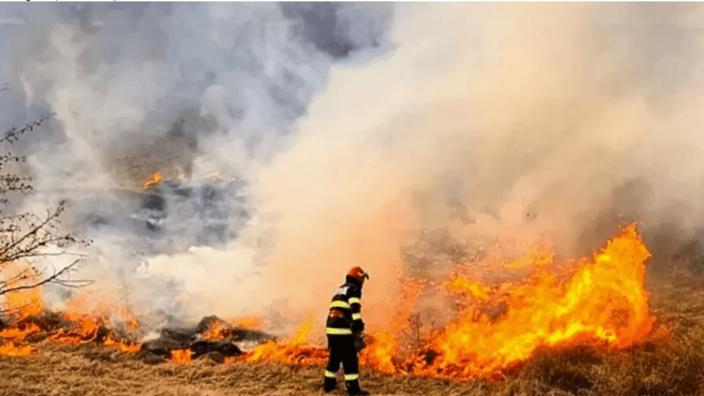 Incendiu la Cantemir: focul a distrus construcții, garaje și câteva hectare de vegetație