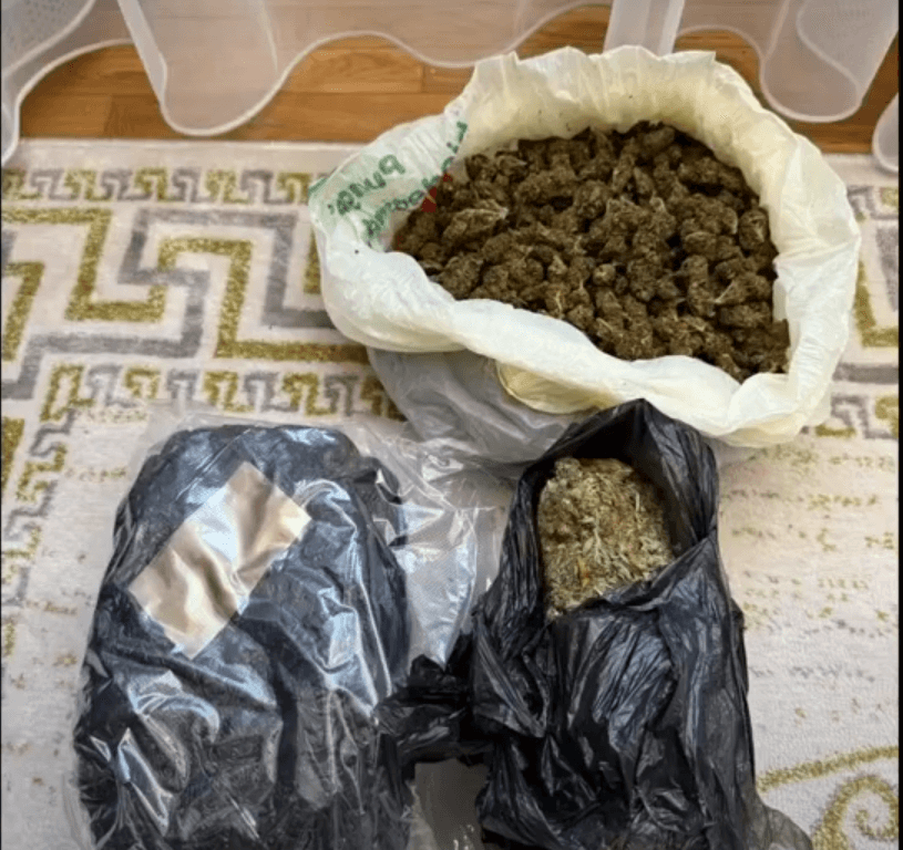 VIDEO // Captură de cannabis de 400 mii lei. Doi traficanți de droguri, reținuți