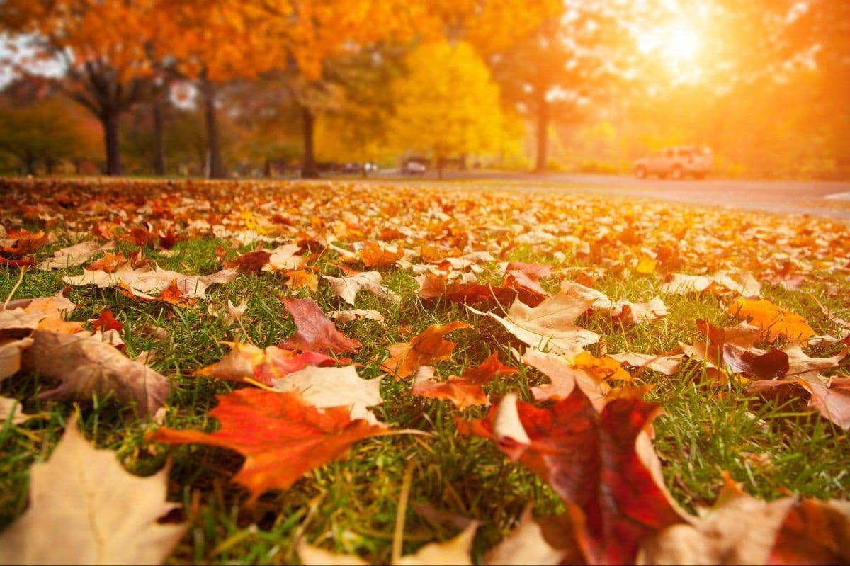 Toamnă cu temperaturi de vară, până la 30 de grade