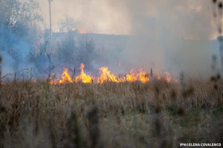 O bătrână a ajuns la spital în urma unui incendiu de vegetație la Nisporeni