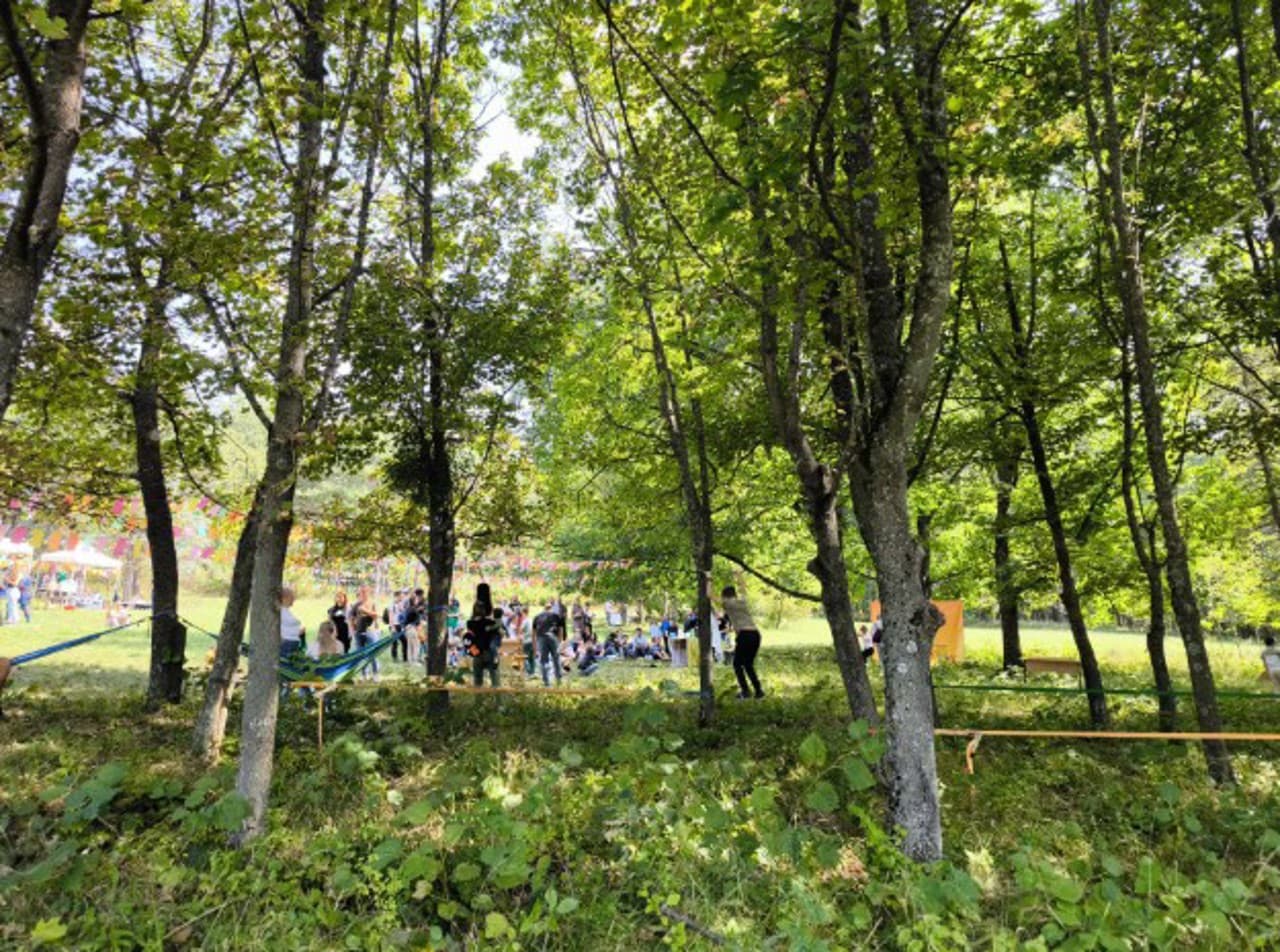 Maia Sandu invită la Festivalul Pădurilor: „Să ne bucurăm împreună de frumusețea naturii”