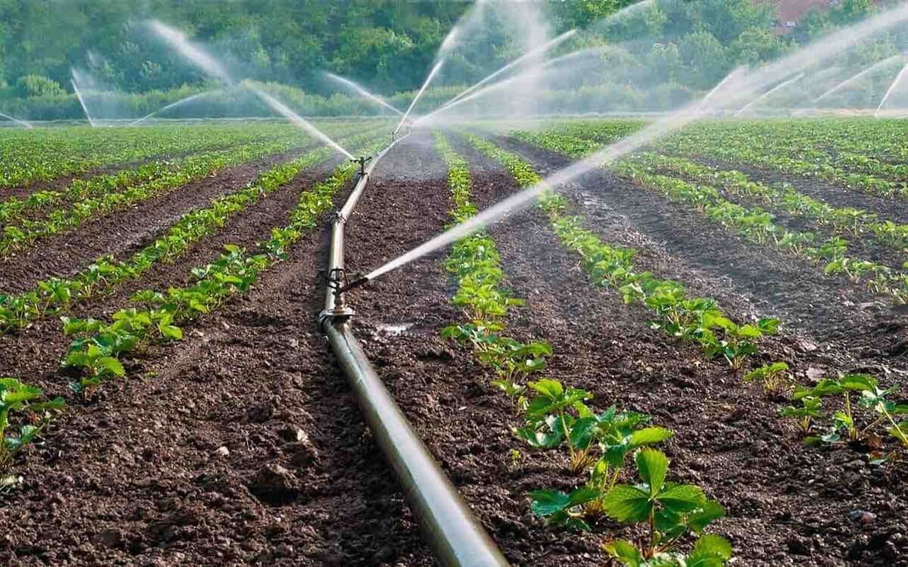 Ministerul Agriculturii preia 119 bunuri publice: clădiri, terenuri, stații, bazine și canale