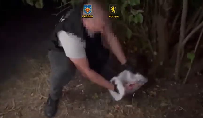 VIDEO // Afacere cu bani falși, stopată la Ialoveni. Doi membri ai unei grupări criminale, reținuți
