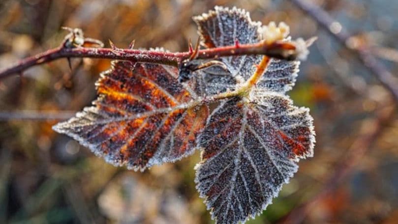 Avertizare meteo: Cod galben de înghețuri în Republica Moldova până luni, 29 septembrie