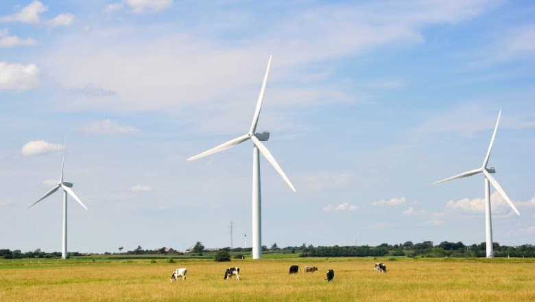 Reguli noi la amplasare a centralelor eoliene