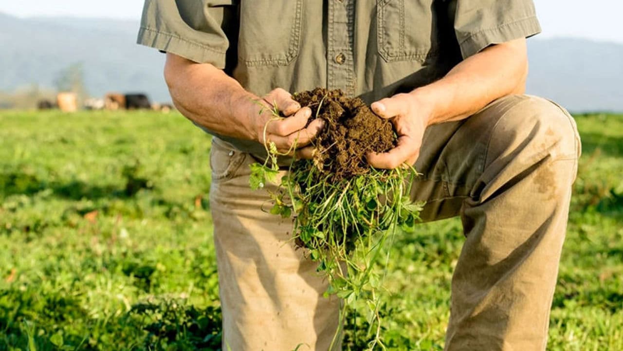 Mai aproape de standardele UE // R. Moldova își modernizează lanțurile agroalimentare