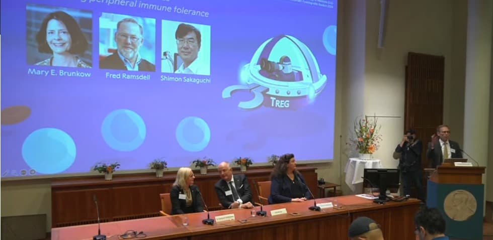 Premiul Nobel pentru Medicină a fost câștigat în 2025 de trei cercetători pentru descoperiri despre toleranța imună periferică