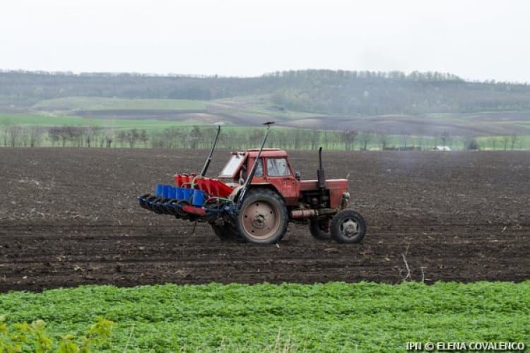 Două mii de agricultori cu venituri reduse vor primi granturi pentru echipamente
