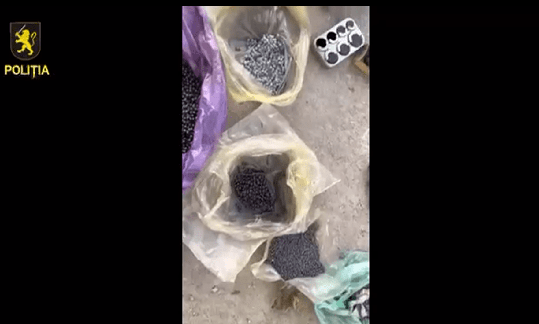 VIDEO // Descinderi la Drochia. Droguri și arme, descoperite în casele a trei bărbați