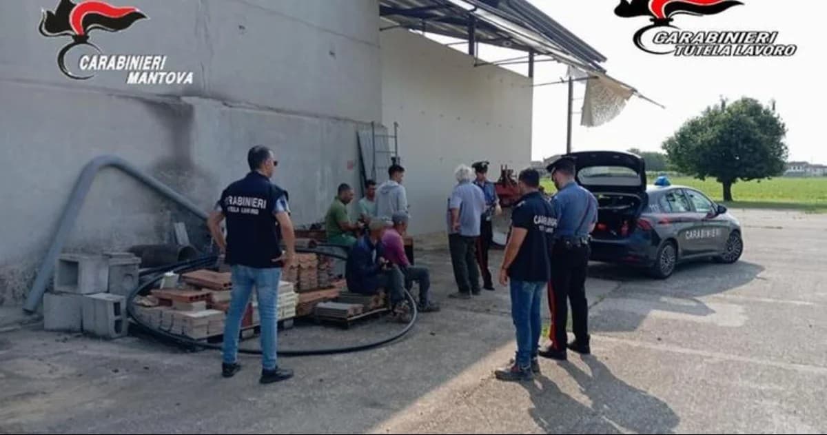 Zeci de moldoveni, duși ilegal în Italia și puși la muncă forțată, eliberați. Doi antreprenori, cercetați penal