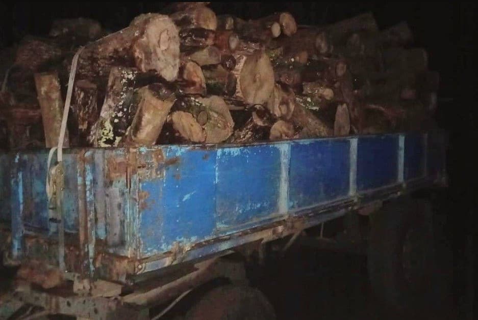 Transport de lemn cu acte expirate la Glodeni. A fost sesizată Inspecția Mediului