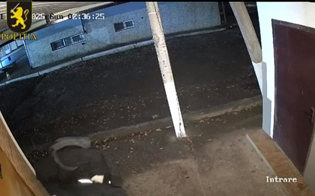 VIDEO // Furt de proporții la o casă de schimb valutar din Florești. Poliția, pe urmele făptașilor