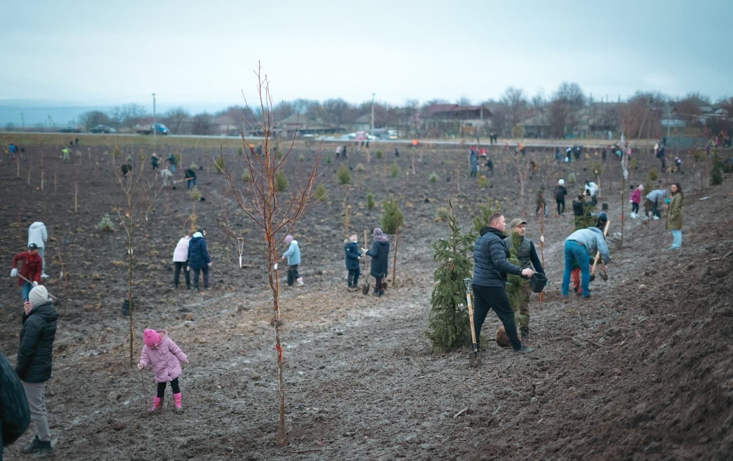 Pădure nouă la Negureni: acțiune de plantare pe 10 hectare de teren