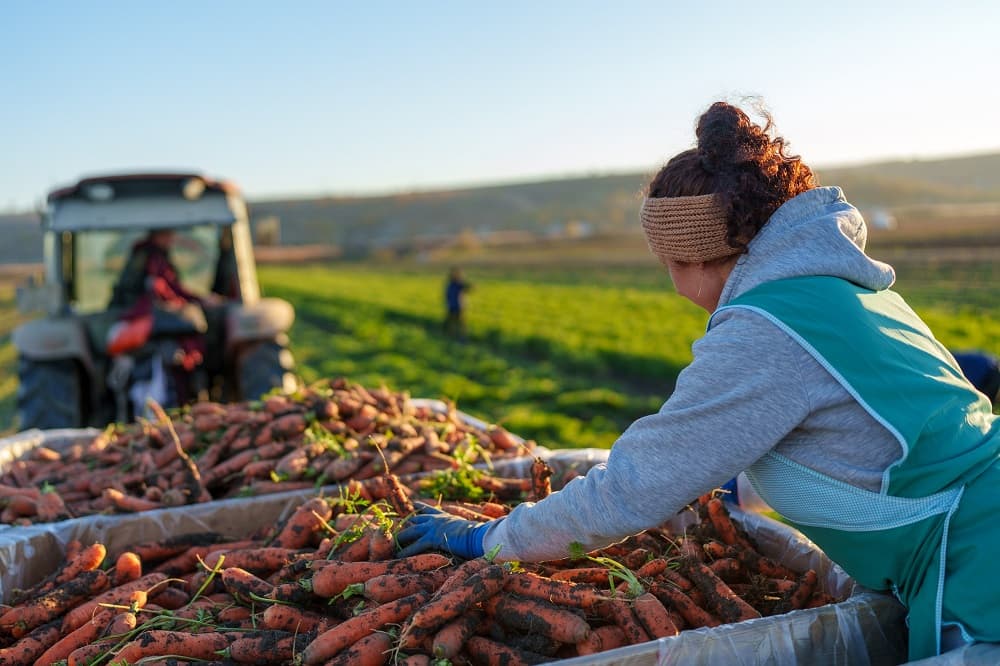Ludmila Catlabuga, de Ziua agricultorilor: Munca voastră se simte în fiecare casă