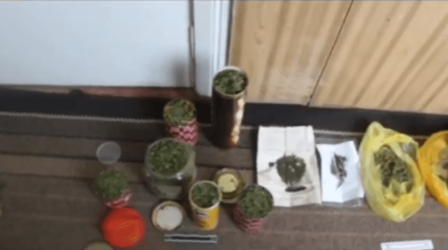 VIDEO // Droguri în valoare de 200 mii de lei, depistate la domiciliul unui bărbat din Drochia. Individul, reținut de oamenii legii