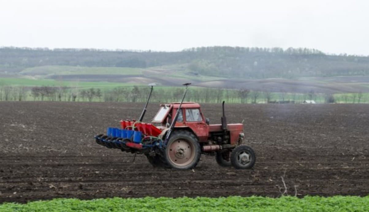 Investiții în agricultură: peste 129 mln lei pentru credite prin programul guvernamental FCA