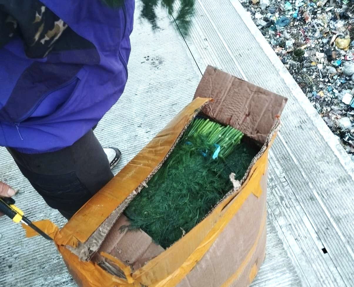 7,5 tone de mărar contaminate cu pesticide, nimicite de ANSA înainte de comercializare
