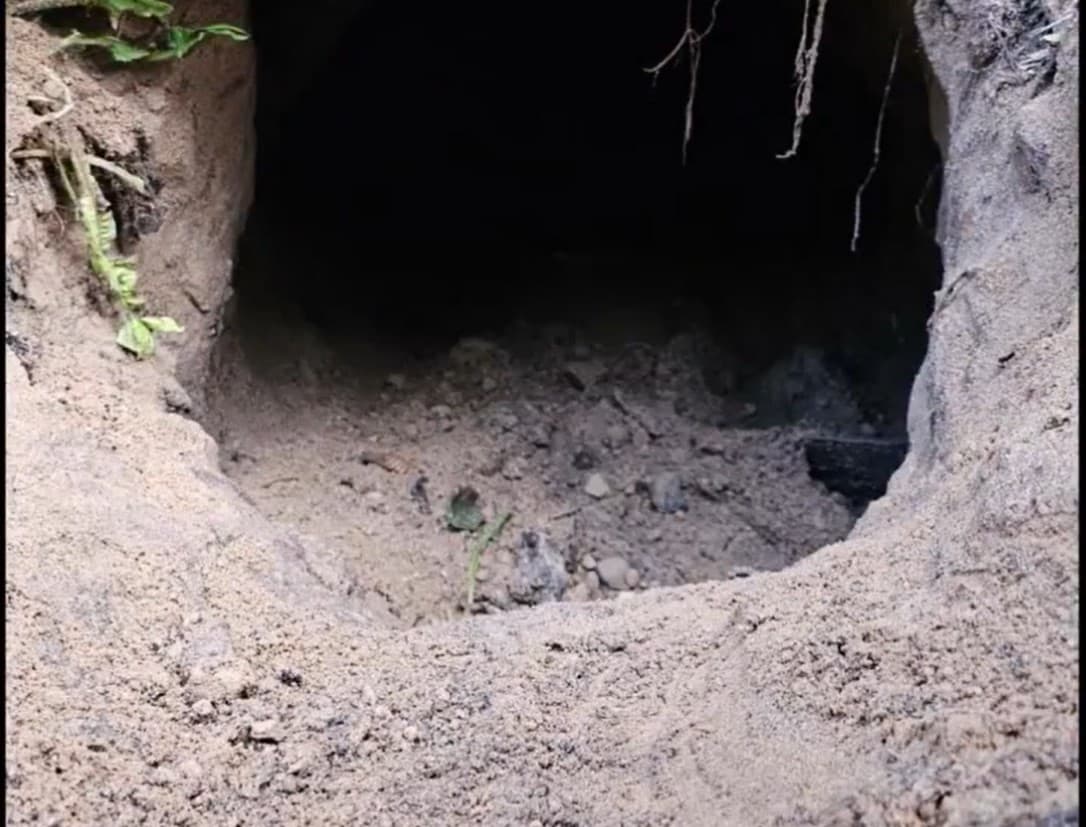 VIDEO // Un nou tunel subteran secret a fost descoperit de Polonia la granița sa cu Belarus