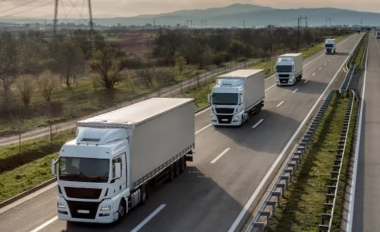 Transportatorii moldoveni ar putea obține acces direct pe piața Suediei