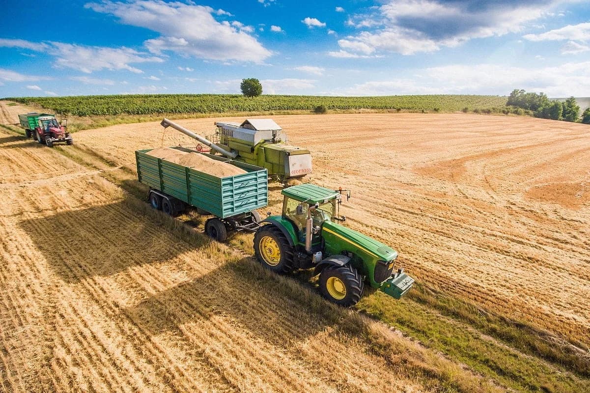 Expert: Principalele dificultăți ale agricultorilor în 2025 vor fi clima imprevizibilă și presiunile economice