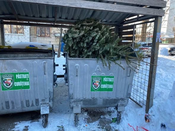 Locuitorii capitalei, îndemnați să depoziteze brazii lângă platformele de colectare. Vor fi reutilizați ca îngrășământ organic