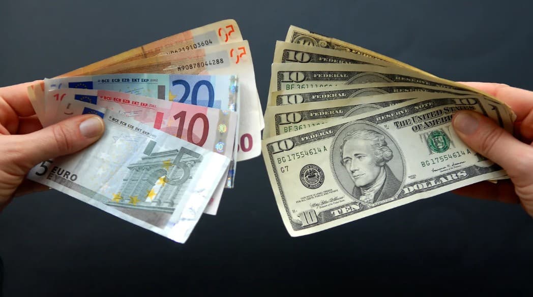 Euro domină piața valutară din R. Moldova. Dolarul urmează în top, hrivna și rubla – la coadă