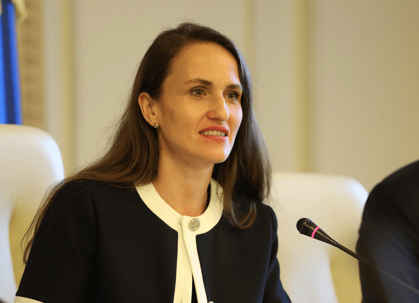 Ambasada României în SUA, anunț despre parteneriatul-cheie privind mineralele critice. Ce teme a abordat Oana Țoiu la Washington
