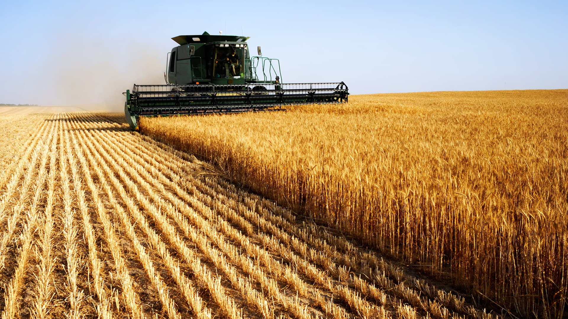 Statul va subvenționa 70% din prima de asigurare agricolă, pentru a reduce riscurile climatice