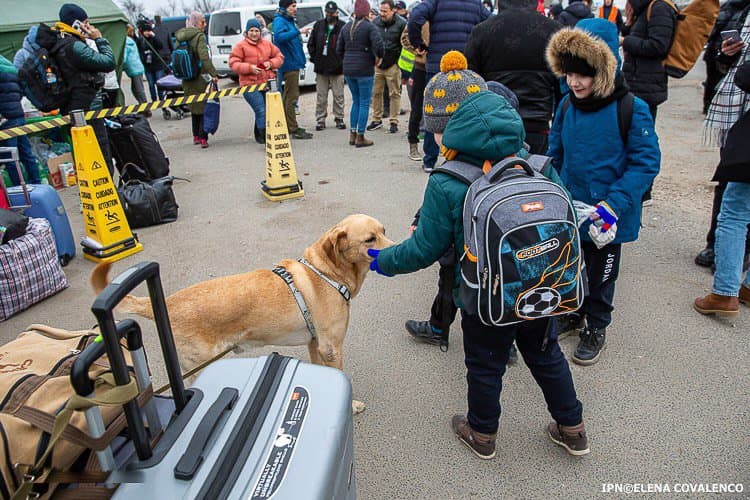 În patru ani de război, zeci de mii de ucraineni au cerut protecție temporară în R. Moldova
