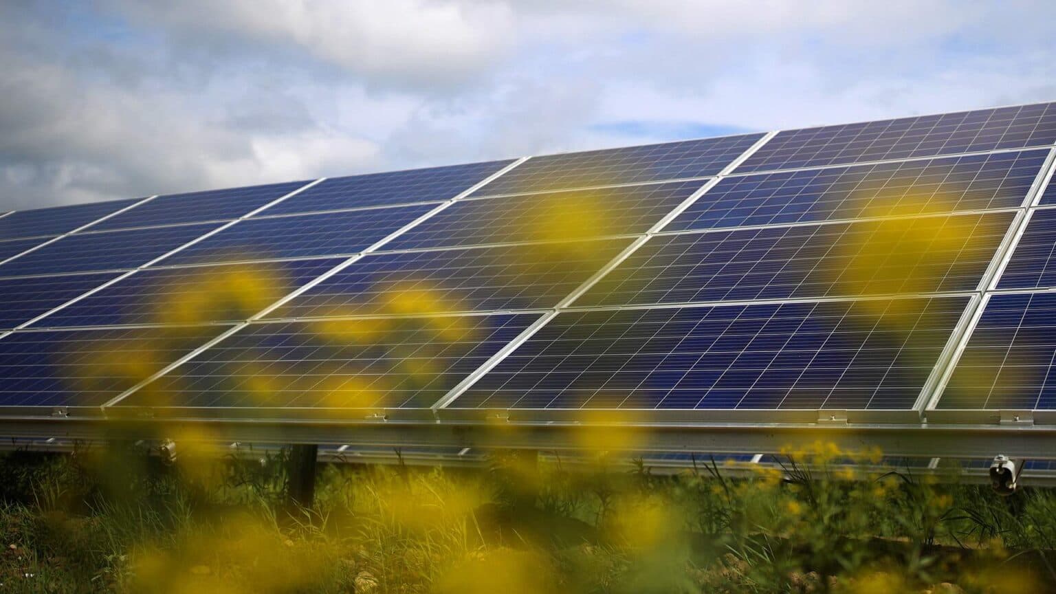 Energocom vinde garanții de origine rămase pentru energia regenerabilă