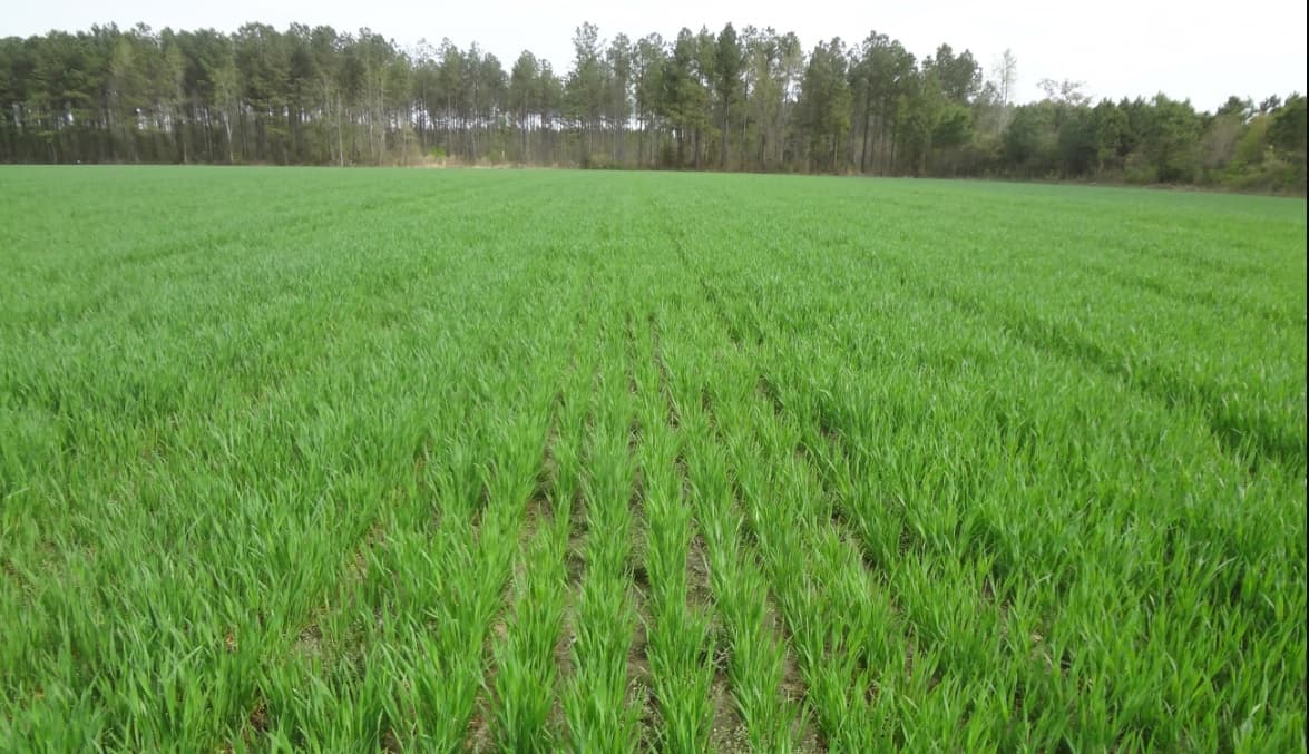 Granturi de până la 50 000 de euro pentru IMM-urile din sectorul agroalimentar