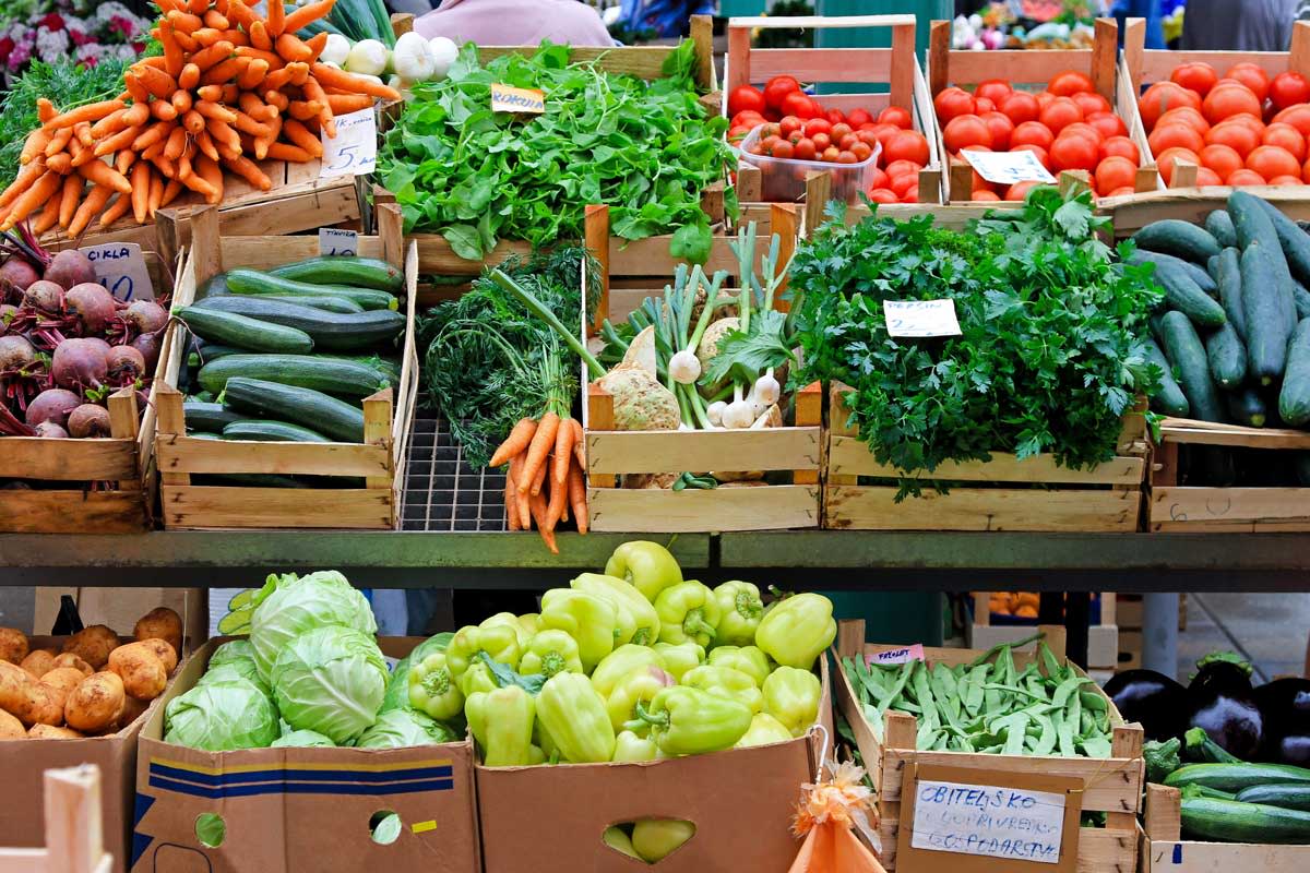 Agricultura Moldovei a crescut cu circa 14% în 2025, pe fondul avansului producției vegetale