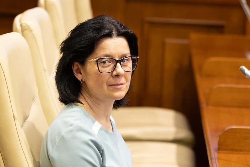 Vicepreședinte: Comisia de vetting este funcțională chiar și fără unii membri internaționali