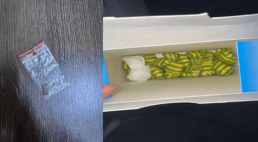 VIDEO // Un tânăr din Chișinău, prins în timp ce plasa droguri în ascunzișuri. Riscă ani grei de închisoare