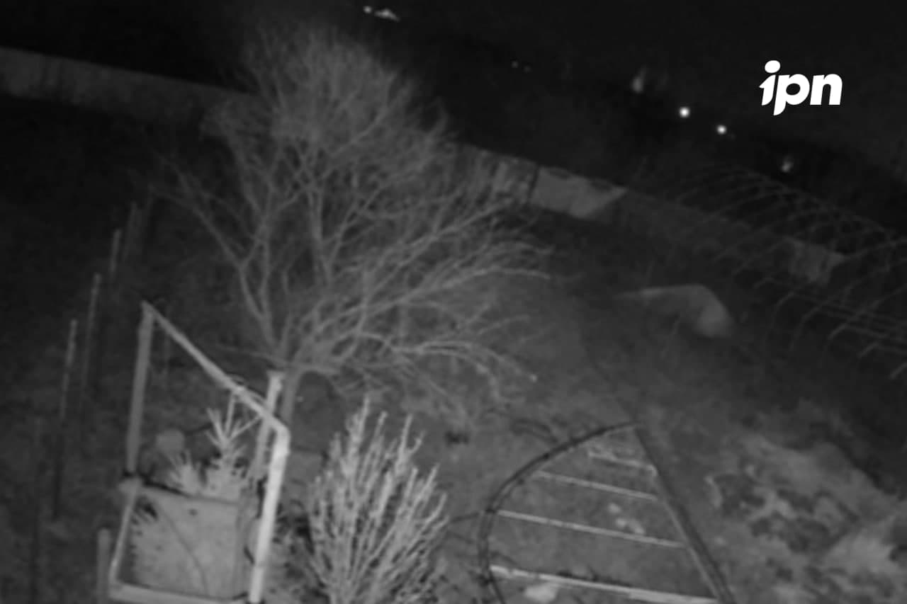 Zgomotul unei drone Shahed, auzit noaptea trecută la Tighina