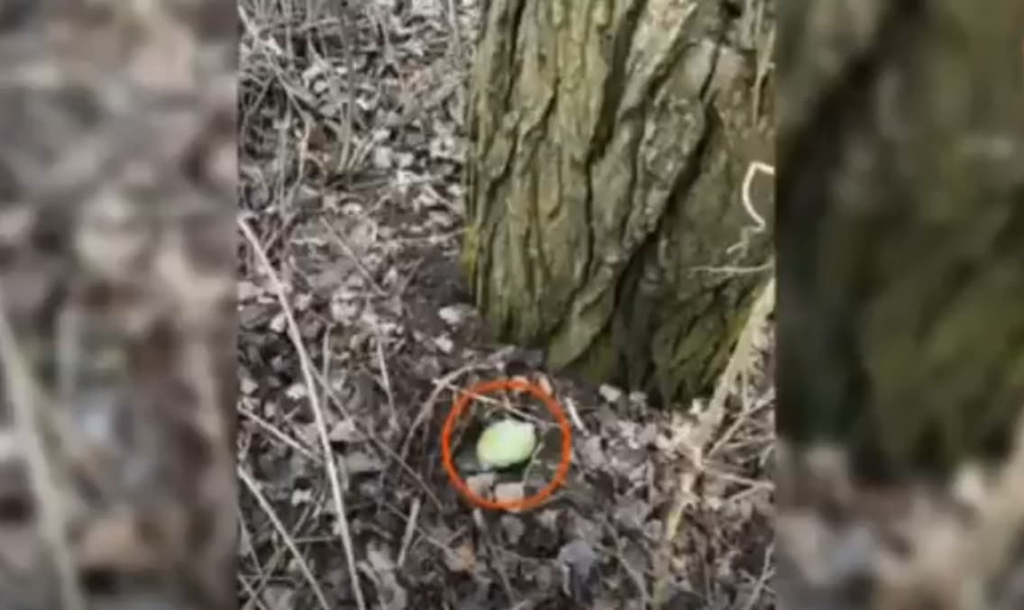 VIDEO // Reținut în flagrant! Un tânăr, prins cu 210 pachețele de hașiș chiar în timp ce le plasa în ascunzișuri