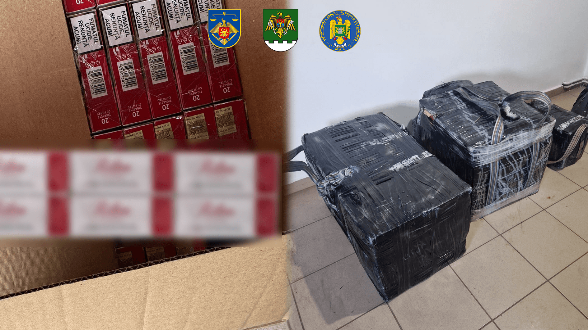 VIDEO // Rețea internațională, specializată în contrabanda cu țigări, destructurată de polițiștii de frontieră moldoveni și români. Patru persoane, reținute