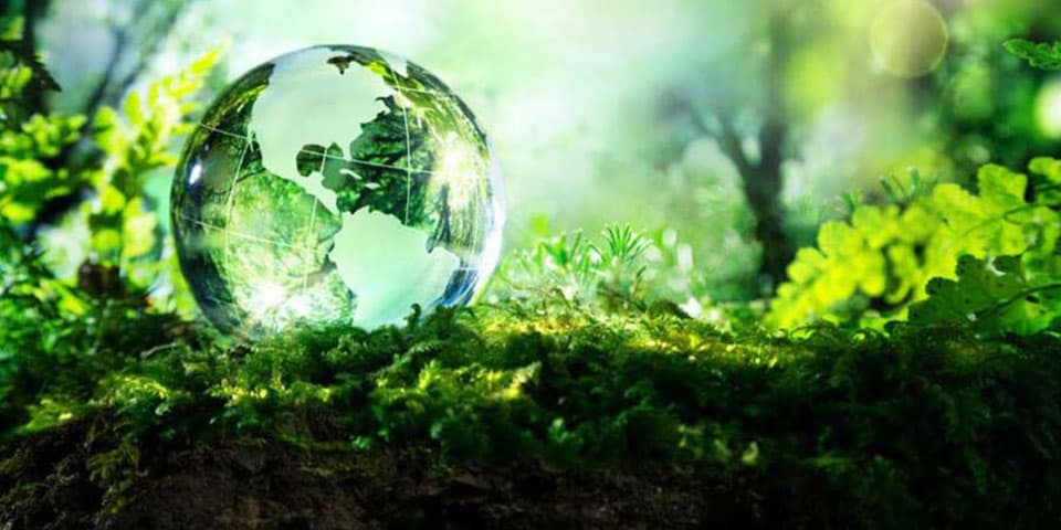 Maia Sandu, de Ziua Pământului: Fiecare trebuie să contribuie la protejarea naturii, folosind resursele planetei cu responsabilitate