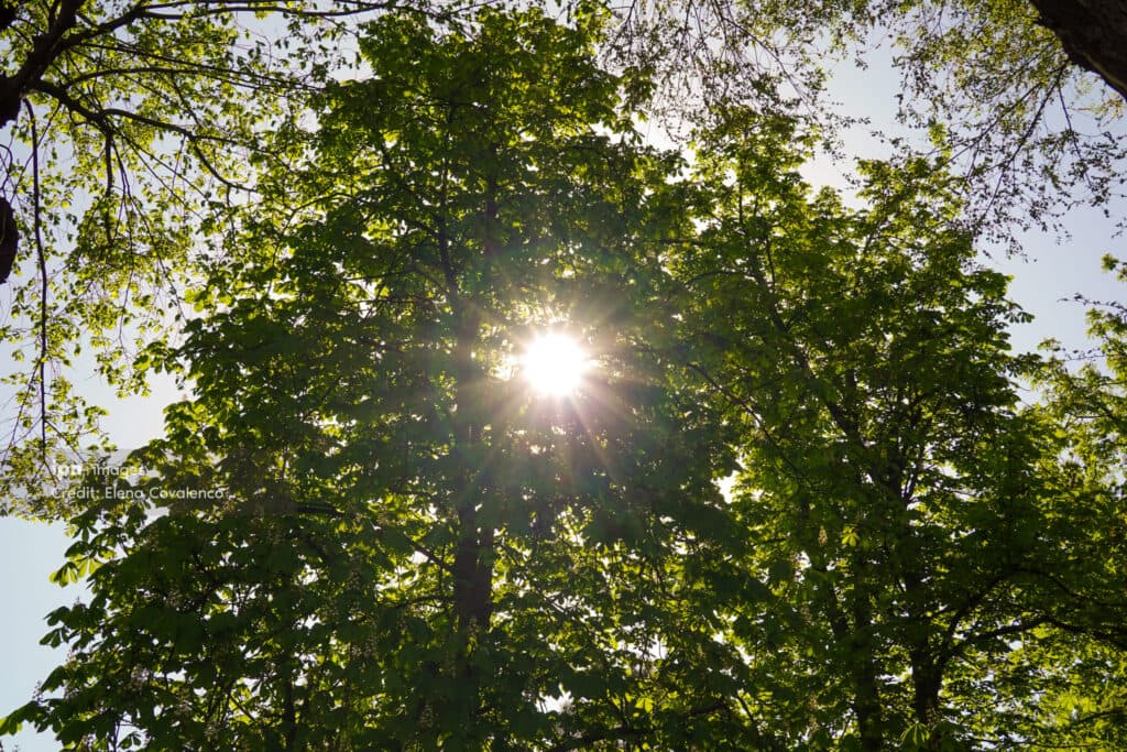 Vremea se încălzește: temperaturi de până la +27 de grade în următoarele zile